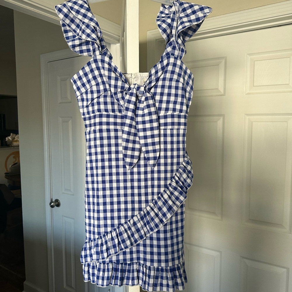 Blue and White Gingham Dress with Ruffle Detail